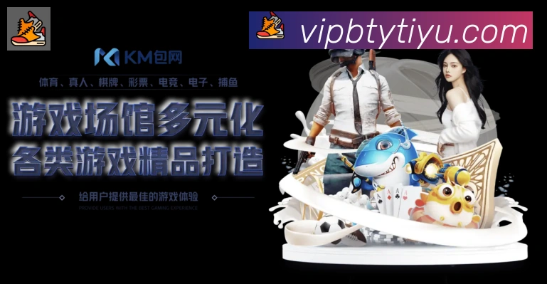 战术分析频道